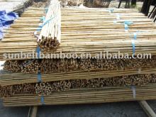 Bamboo stakes