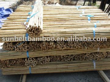 Bamboo stakes