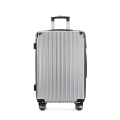 Chariot Suitcase Hot Selling ABS Trolley Case