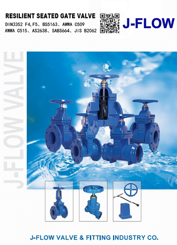 01 Gate Valve