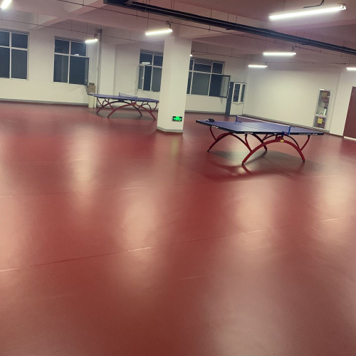 Tappetino da ping pong in PVC ITTF per interni