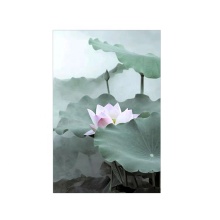 Personalized Cutting Back Skin Protective Film Sheet