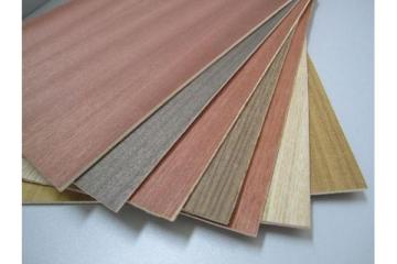 European Standard Pine Veneer Funiture Plywood