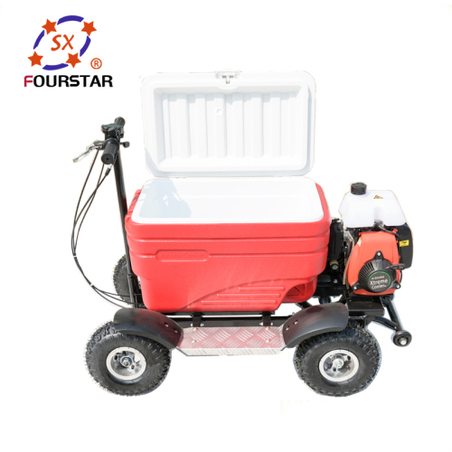 Powerful Gas Electric Cooler Scooter for Sale SX-G110