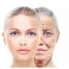 CE Approved Dermal injectable Fillers for Anti Aging