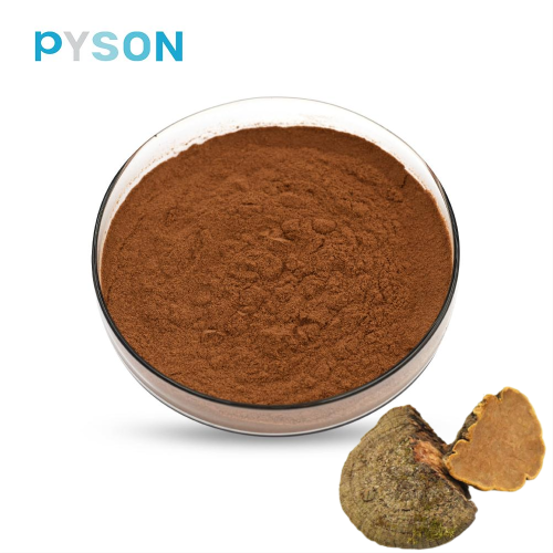 Phellinus Igniarius Extract Polysaccharides≥50%