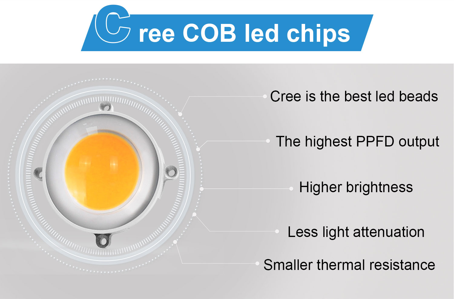 Phlizon Cree Cob Grow Light