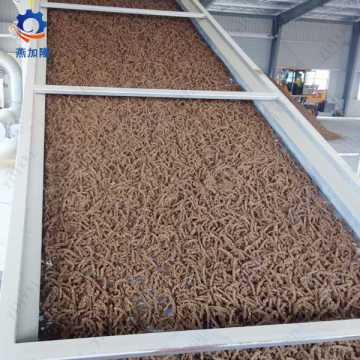 Balloon Flower Mesh Belt Drying Machine