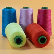 800 Colors of 100% Spun Polyester Embroidery & Quilting Threads (40s/2) - In Stock