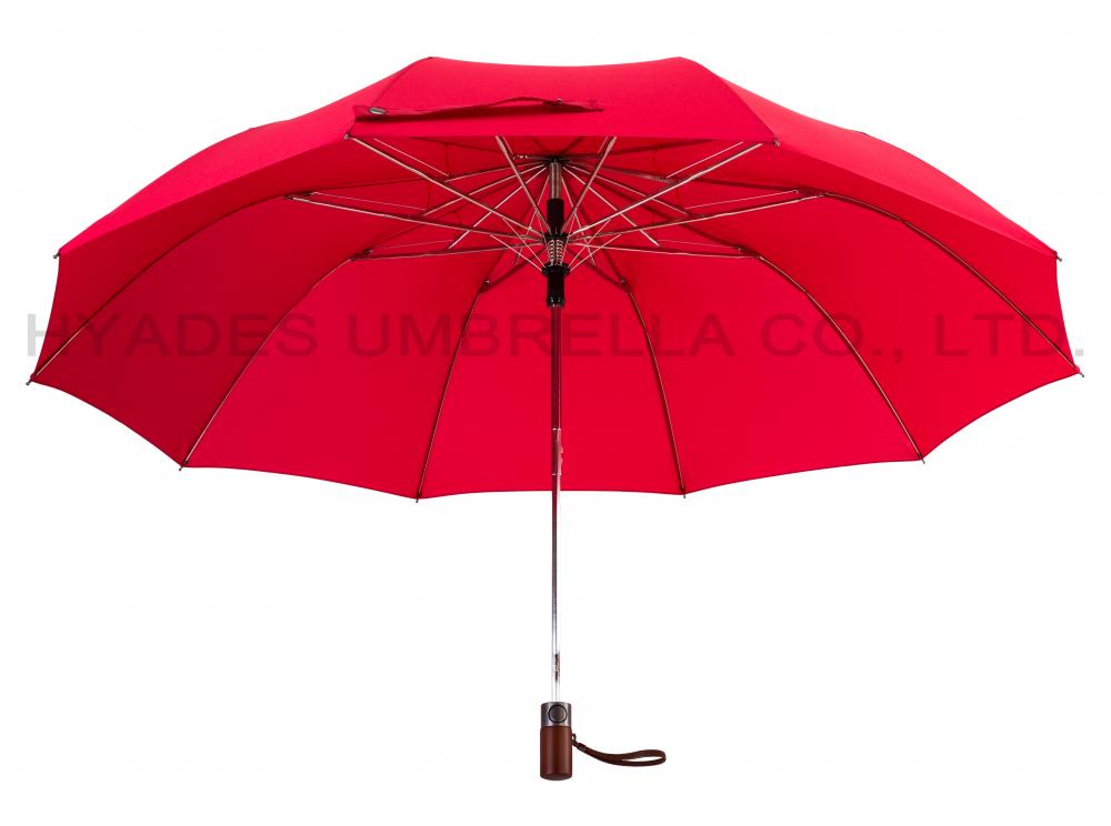 Unisex Auto Open 2 Folding Umbrella Plain Colored