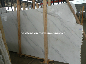 Imported Marble Carrara Slab