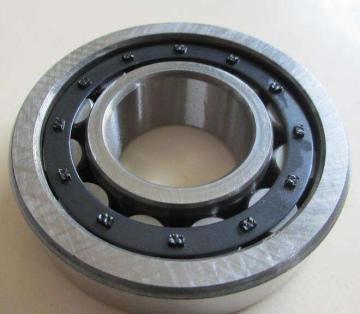 Cylindrical roller bearing N1040EM