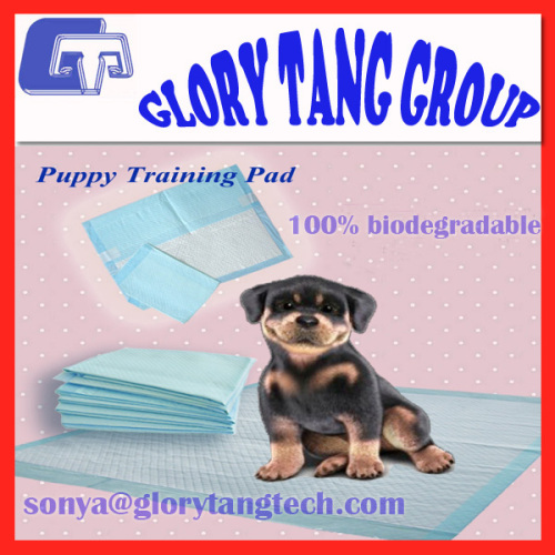 2016 New Arrival training pads, 100% biodegradable puppy training pad