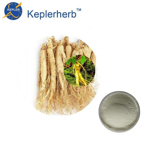 factory 10%Ginseng panax extract