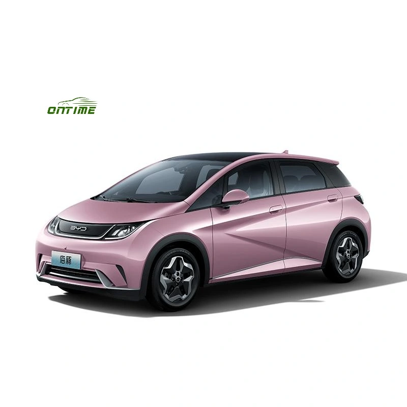 Made in China Electric Cars Dolphin for Family Use Electric Vehicle