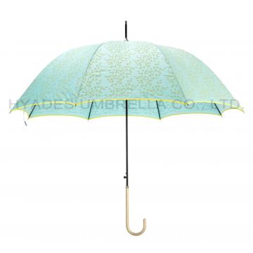 Stylish Auto Open Hook Handle Dome Umbrella