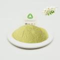 Sophora Japonica Extract Rutin NF11-95% Powder