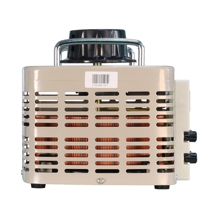 TDGC2-3KVA Variac 220V Transformer Manual Voltage Regulator