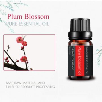 High Quality Plum Blossom Oil Aroma Fragrance Diffusers