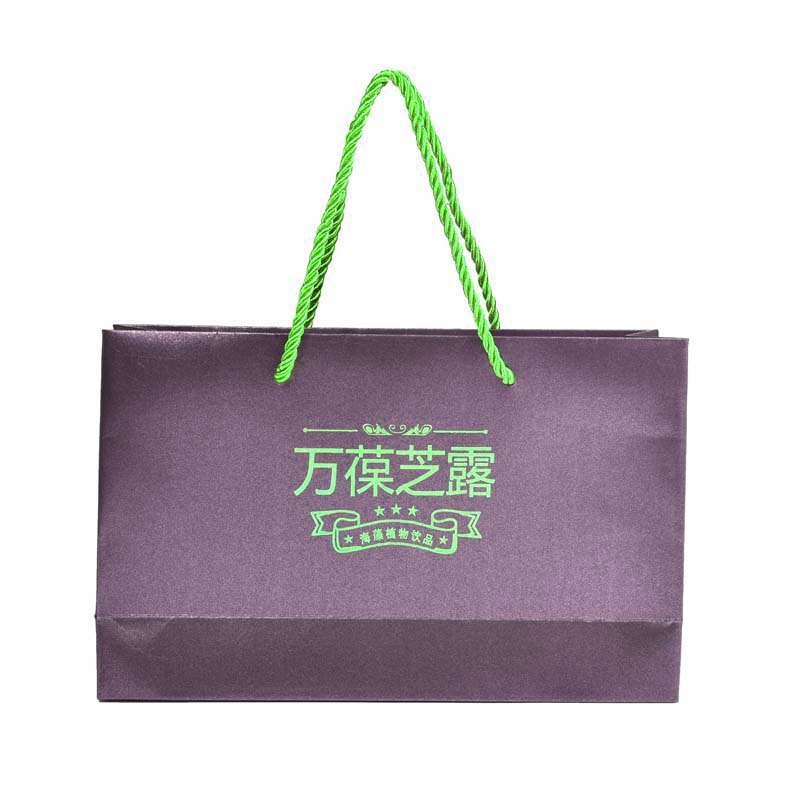 Shopping Portable Paper Bag