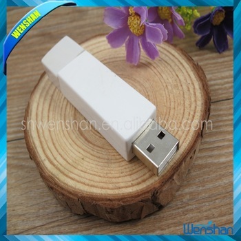 in Simple but elegant 2G plastic usb flash disk