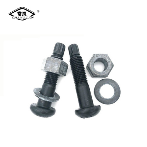 Torsional shear bolts of steel structure