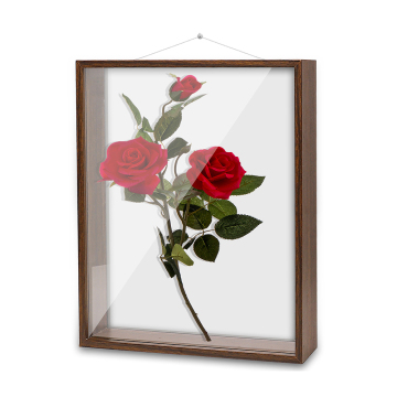 Shadow Box Picture Frame