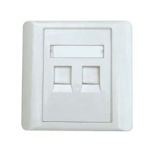 Dual Ports Face Plates