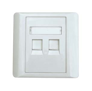 Dual Ports Face Plates