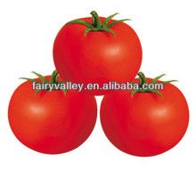 Newest Chinese Vegetable Seeds Hybrid F1 Heirloom Tomato Seeds For Sale-Summer Red