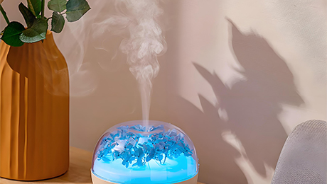 Placa de atomizador de umidificador Humidifier Atomizer Plate