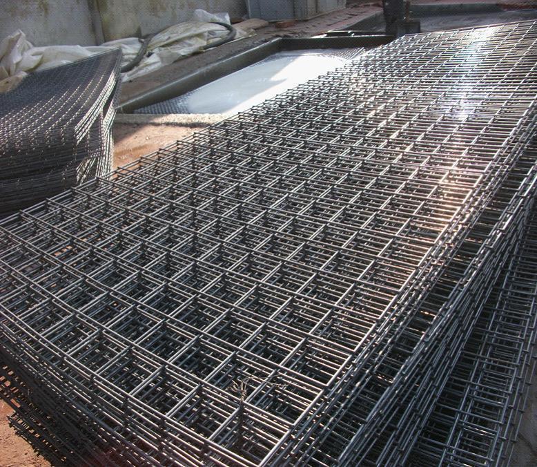 Galvanized Welded Wire Mesh in Rolls