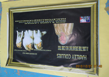 Light Weight UV Coated 360g Vinyl Outdoor Mesh Banners For Stage Backdrops