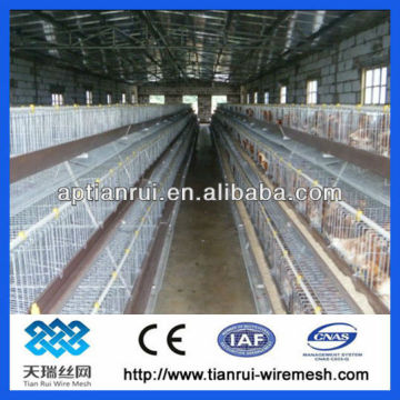 chicken raising mesh chicken cage