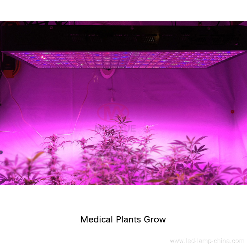 High Umol 1200 Watt LED Grow Light