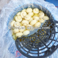 Fresh Yellow Whole champignon in Conserve in Drum