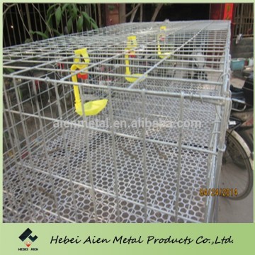 galvanized metal mesh brolier chicken cage