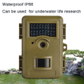 Digital Motion Sensor Wildlife Research Trap Camera