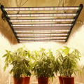 Phlizon 1000w 8 Bars Led Grow Light