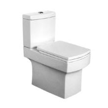 Washdown Two Piece Closet