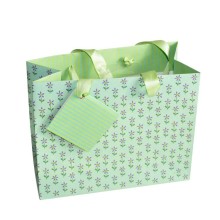 Fashion handmade custom printed Color gift paper bag