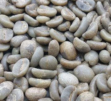 Small Coffee beans Catimor Miel process Espressp