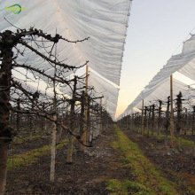 woven cherry tree orchard cover clear pe tarpaulin