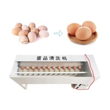 Stainless Steel Egg Cleaning Machine | Duck Egg Cleaning Machine | Egg Brush Cleaning Machine