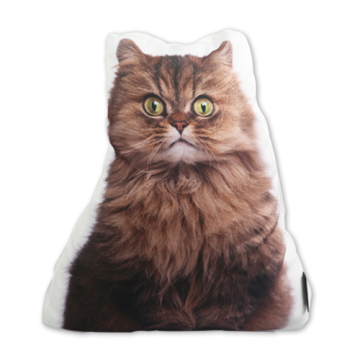 Brown cat door stopper