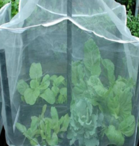 Tampa líquida de insetos insect net cover