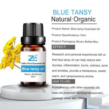 Blue Tansy Essential Oil wholesale Blue Tansy Oil