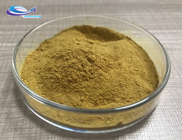 High Quality Chlorogenic Acid Honeysuckle Flower Extract