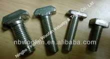 Stainless Steel T Head Bolt