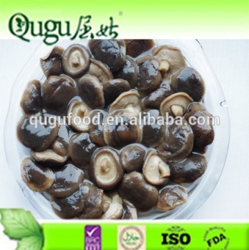 shiitake canned, new crop shiitake, china shiitake